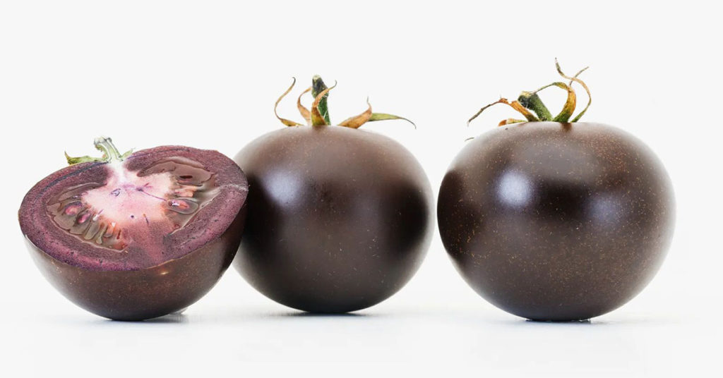 Produção de tomate roxo rico em antioxidantes é autorizada nos EUA